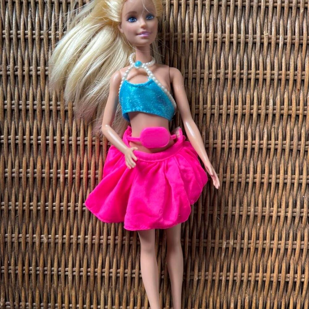 Barbie Pink and Blue Dolls-accessories